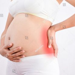 Gravid